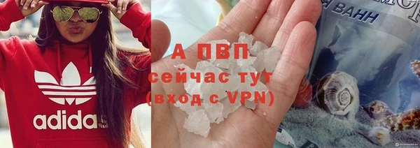 стаф Бугульма