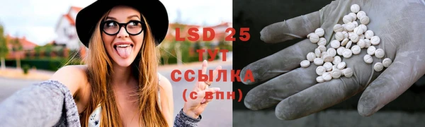 PSILOCYBIN Бронницы