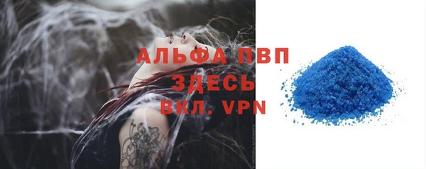 PSILOCYBIN Бронницы