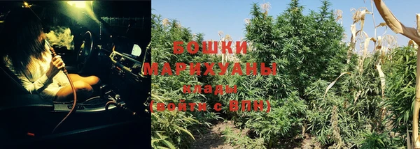 стаф Бугульма