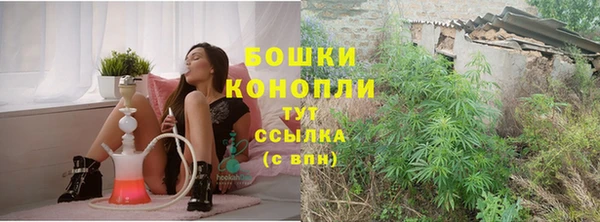 PSILOCYBIN Бронницы