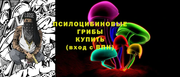 стаф Бугульма