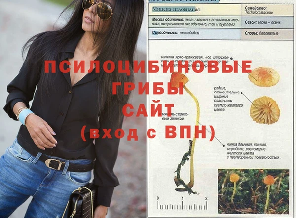 стаф Бугульма