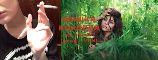 PSILOCYBIN Бронницы