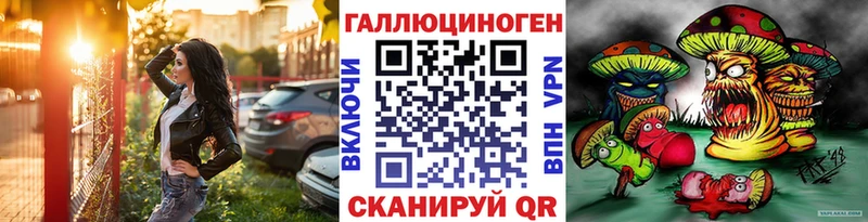 мега ссылка  Янаул  Псилоцибиновые грибы Psilocybe 
